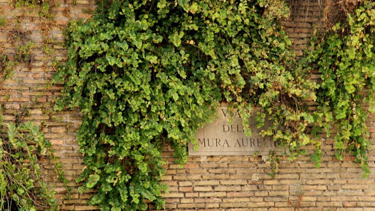 דירות רומא Vista San Pietro מראה חיצוני תמונה